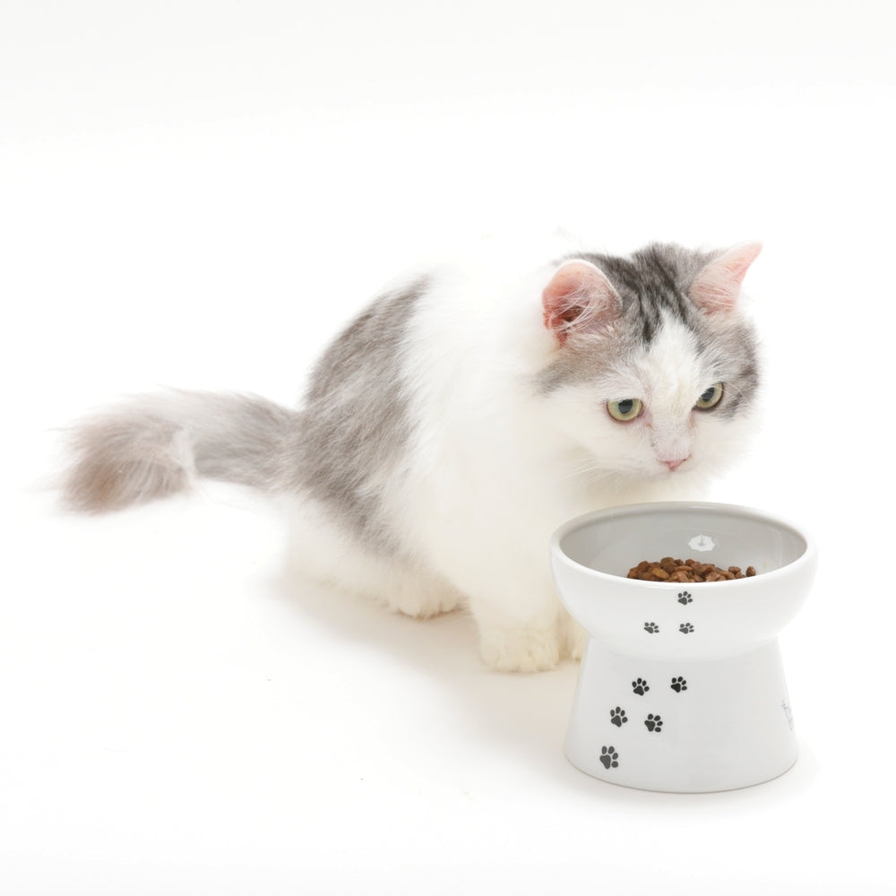 Necoichi raised best sale cat food bowl