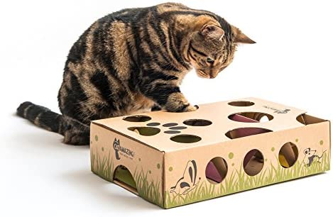 Cat Amazing Interactive Cat Toy & Puzzle Feeder