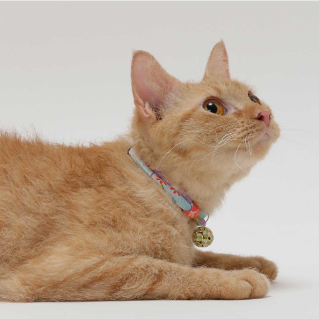 Necoichi Chirimen Cat Collar with Clover Bell