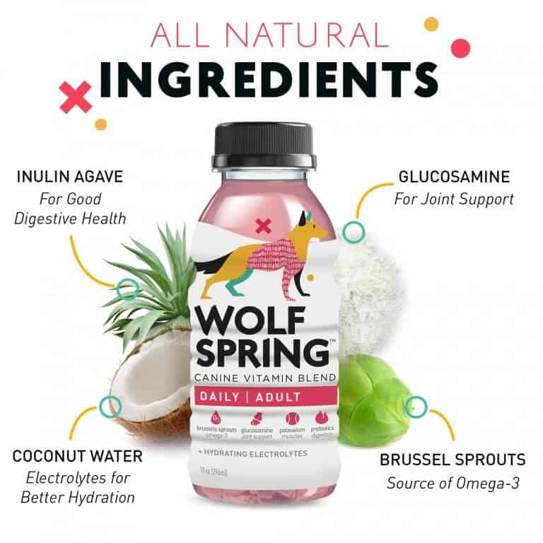 Wolf Spring Food Booster (Adult) - Pack of 6