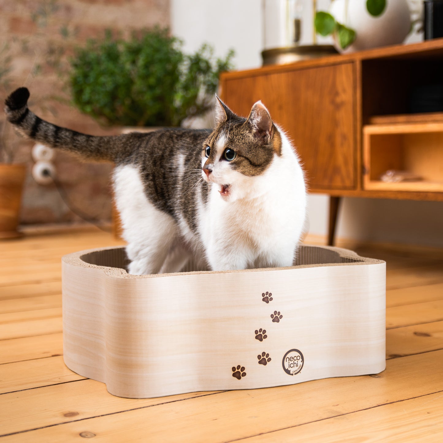 Necoichi Cat-Headed Scratcher Bed (Birch)