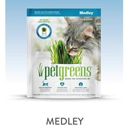 Organic Petgreens Bring The Outdoor In